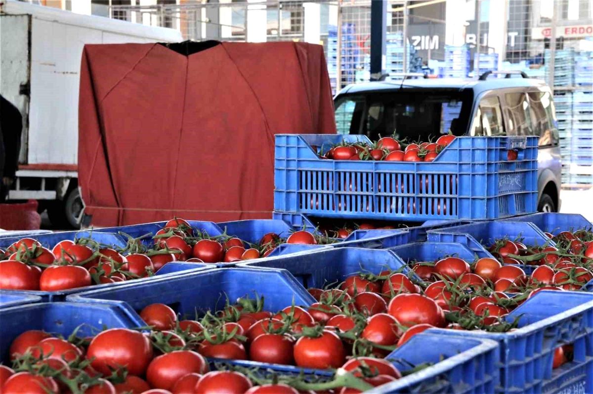 Antalya’da Aralık Ayında Domates ve Sebze Fiyatları Arttı