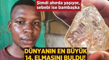 Dünyanın en büyük 14. elmasını buldu! Şimdi ahırda yaşıyor, sebebi çok başka