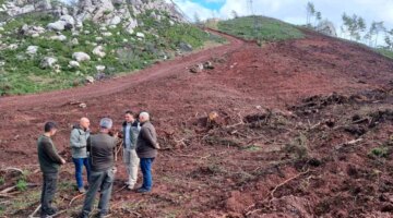 Muğla’nın Marmaris ilçesinde bal ormanı oluşturulacak