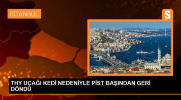 THY uçağı pist başından döndü, sebep kabinde dolaşan kedi